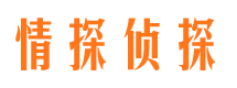 屏南找人公司